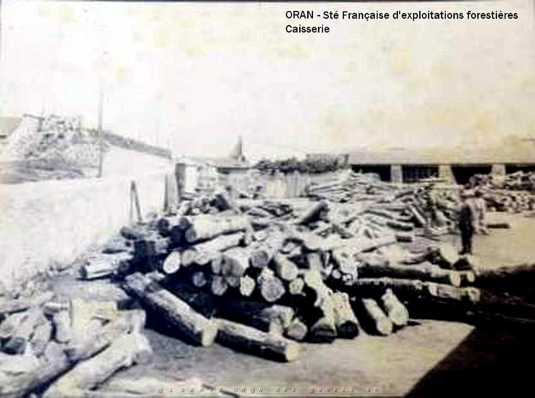 ORAN- 06.jpg